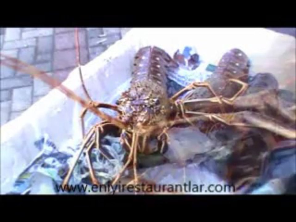 Ali Baba Restaurant Büyükada, Ali Baba Restaurant Büyükada Telefon, 0532 670 01 56