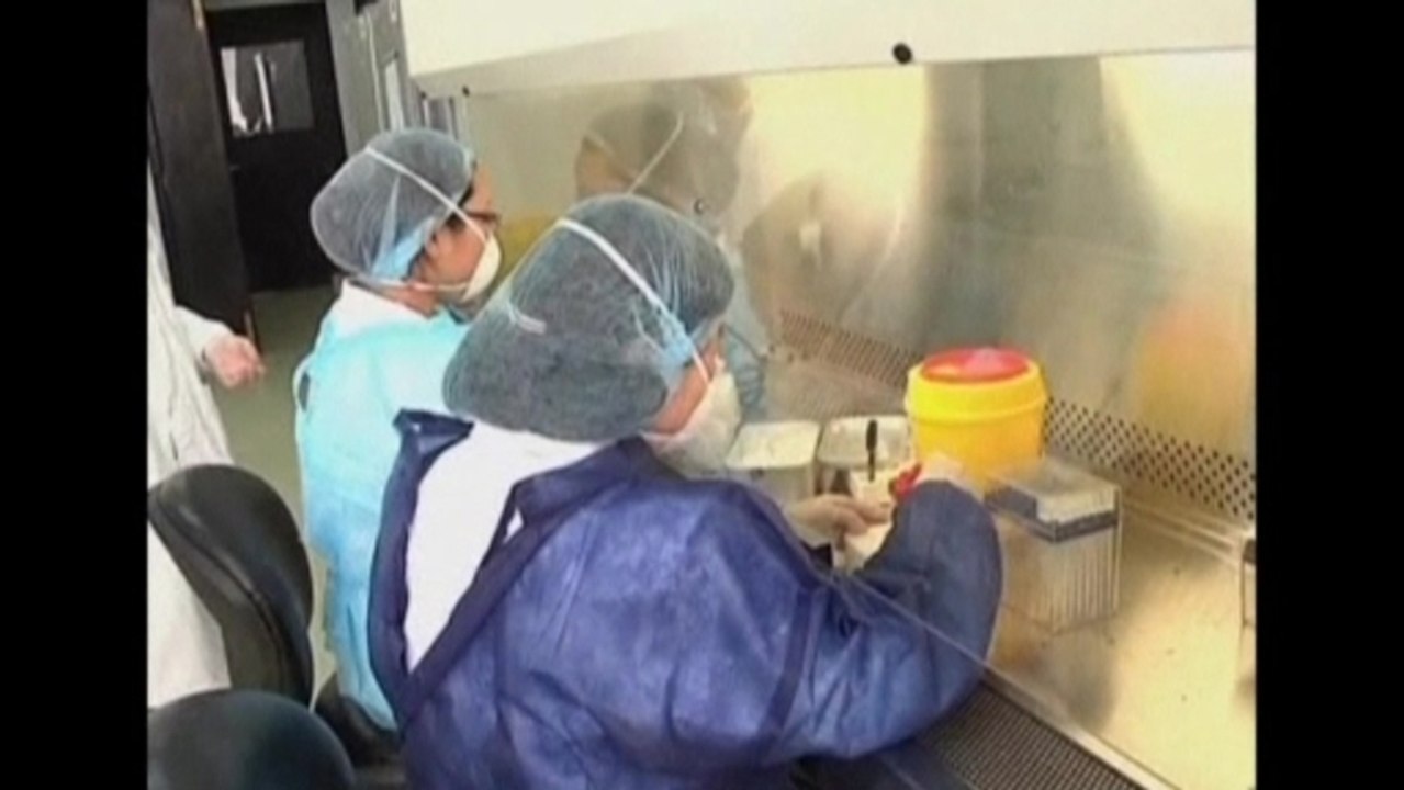 China hit by more bird flu cases