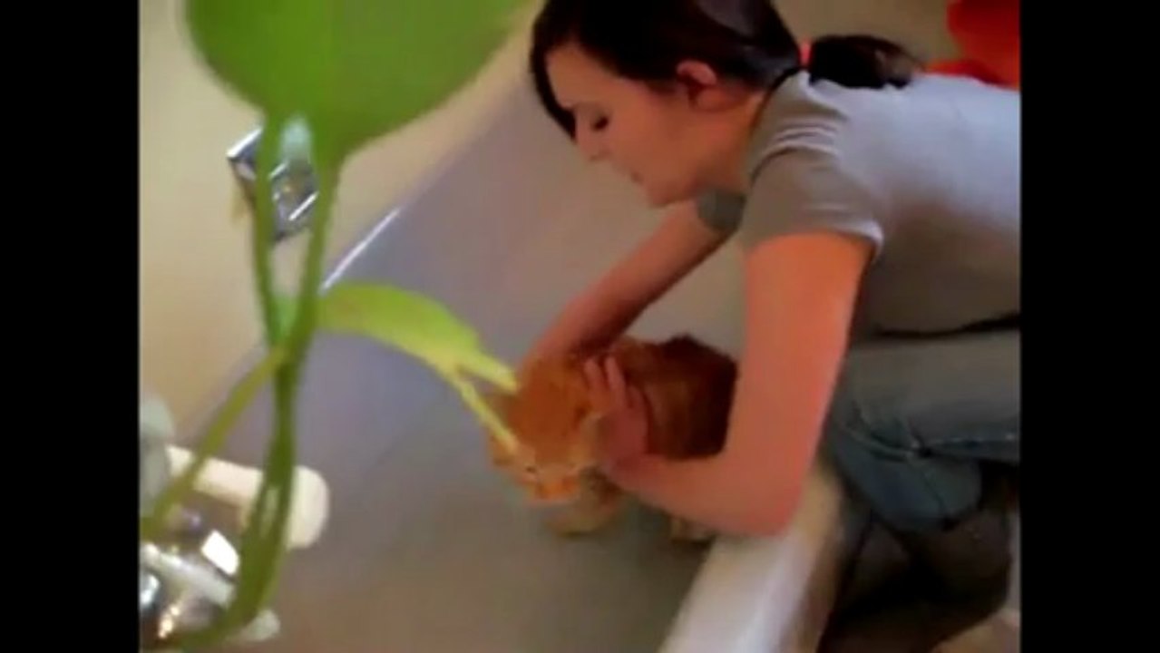 DebiloTop n°7 ! Le top des vidéos drôles du WEB tous les dimanches !