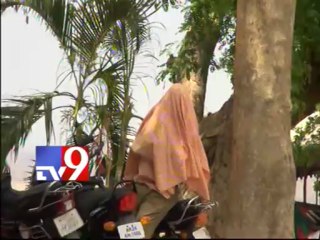 Honey bees attack, 2 injured in Nagarjuna Sagar