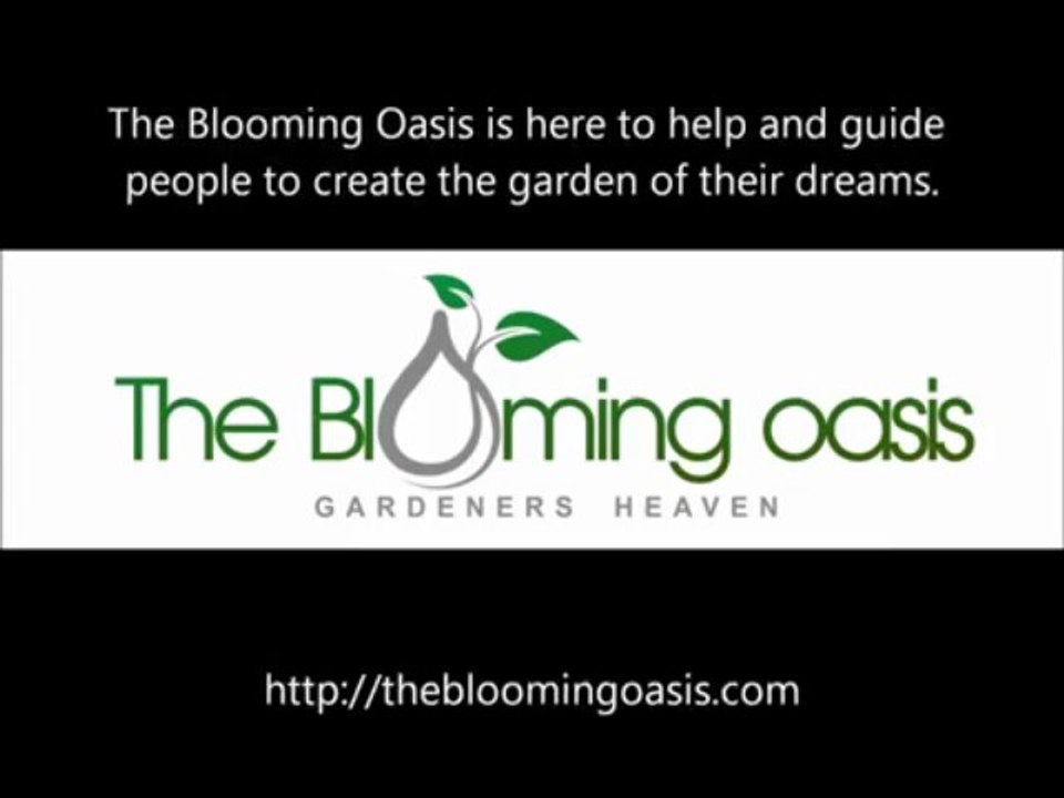 The Garden Of Your Dreams - The Blooming Oasis http___theblo