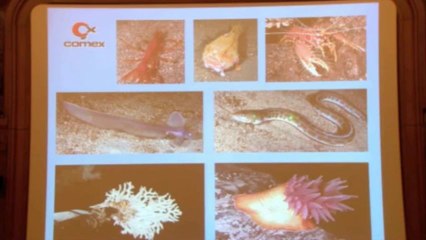 2° partie, Conférence «  La Comex 50 ans sous la mer