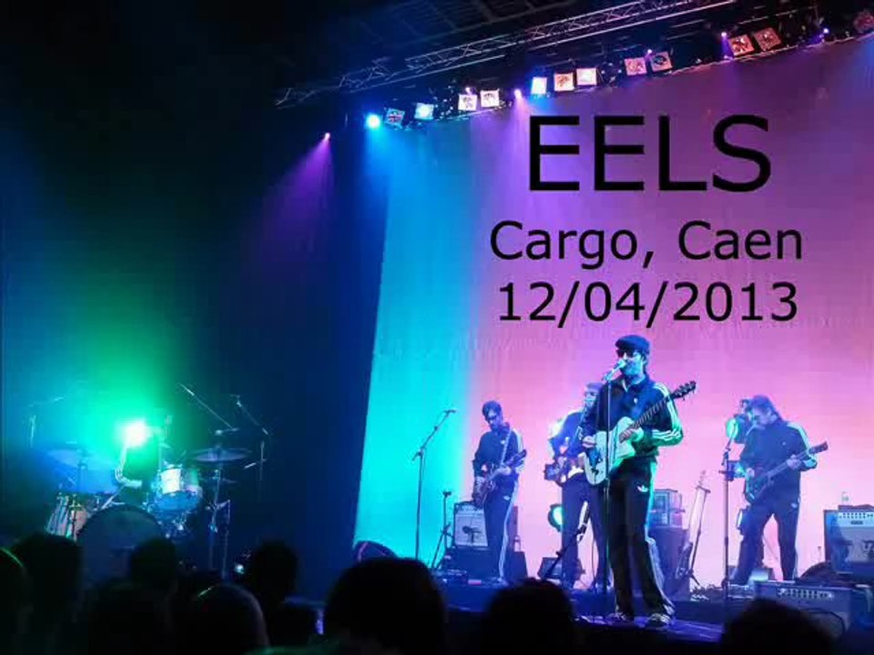 Eels @ cargo