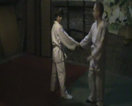 Ai hanmi gedan katate dori : kote gaeshi kihon