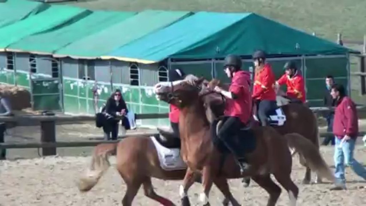 Pony Games La Bonde 2013 Match 3 Cadets Logis du Poney