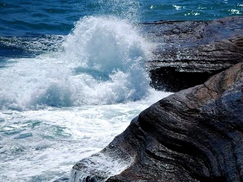SUD DE FRANCE - MER, SOLEIL & NATURE - CAP D'AGDE HERAULT
