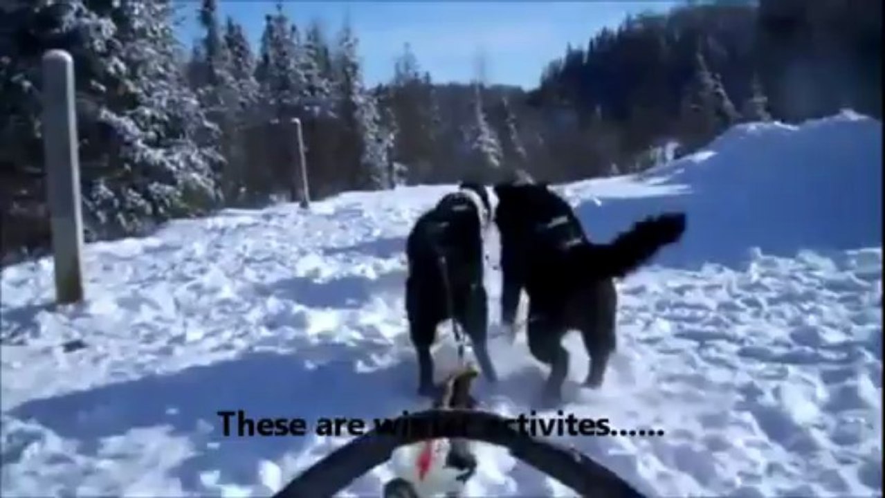 winter canada