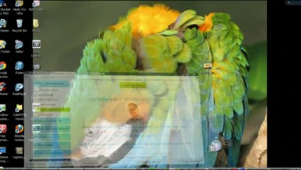 Pure Leverage Products