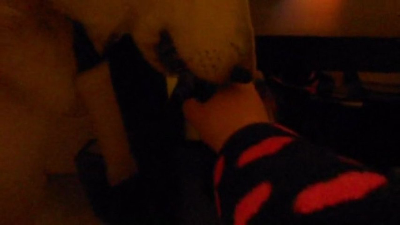 Fetching the TV remote
