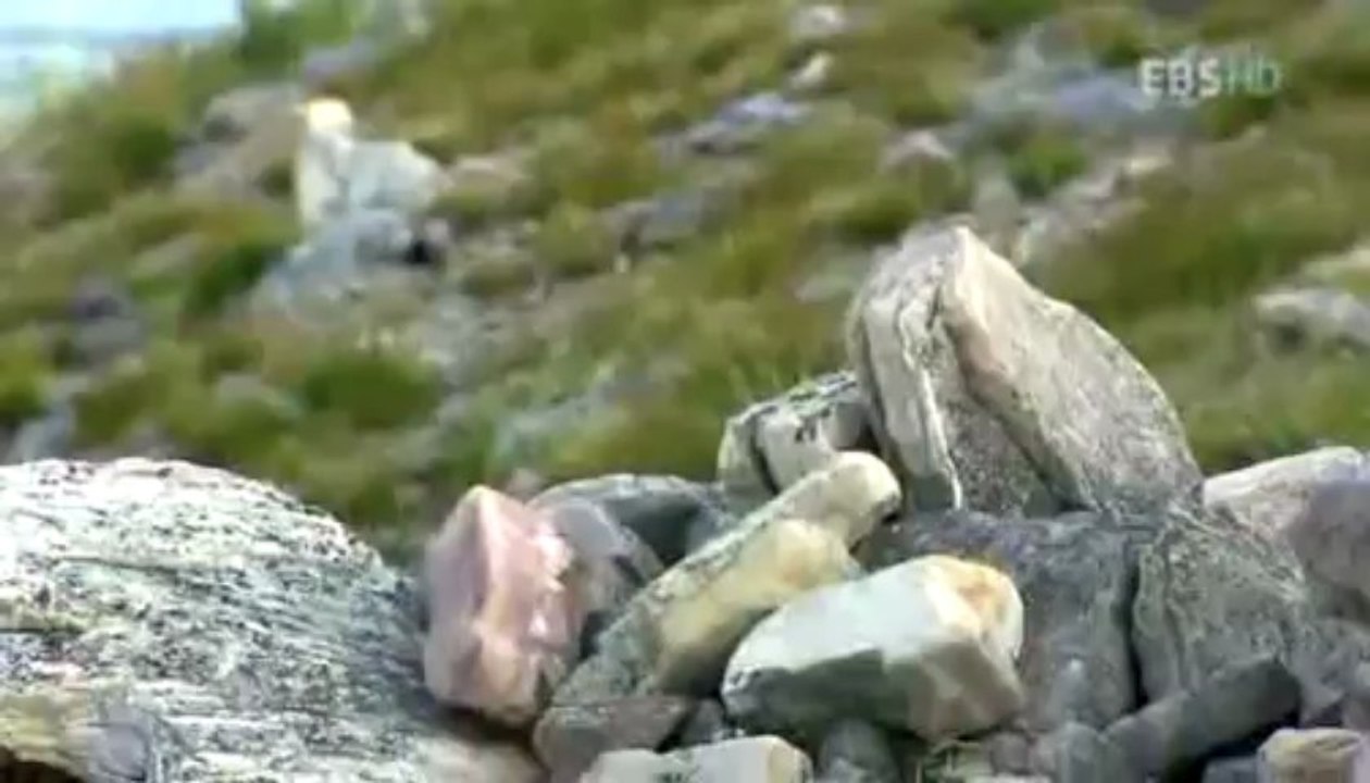 Summer of Greenland Part 2 Jeong Hyeon Gyeong