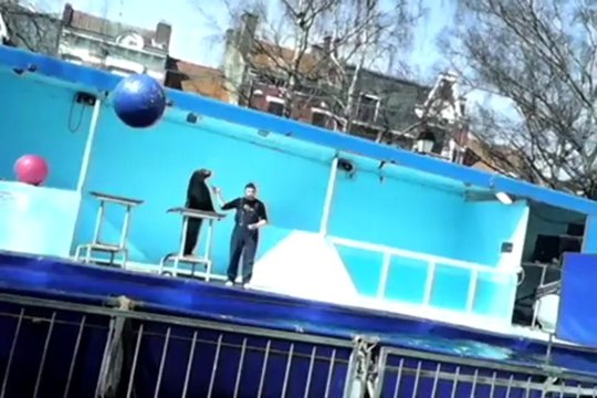 Aquatic Shark spectacle d'otaries