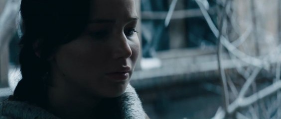 The Hunger Games Catching Fire