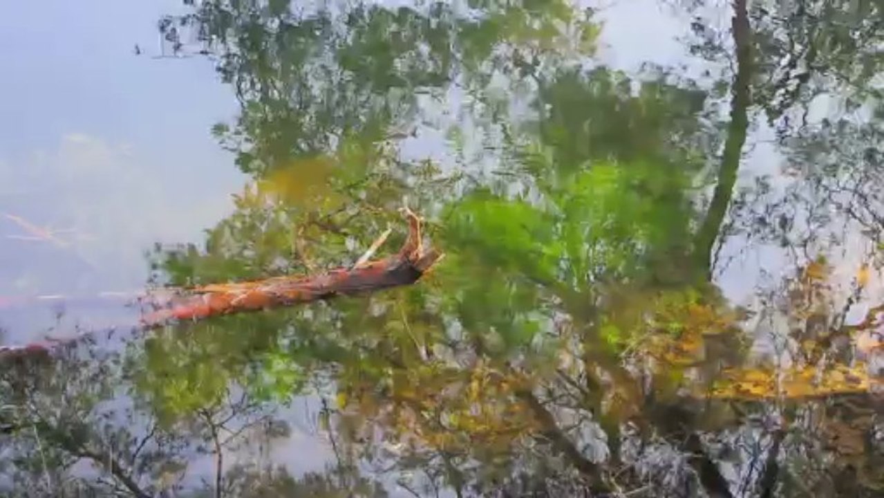 Reflets sur le petit lac