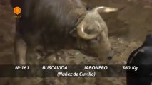 Sorteo de los toros de Núñez del Cuvillo para Sevilla