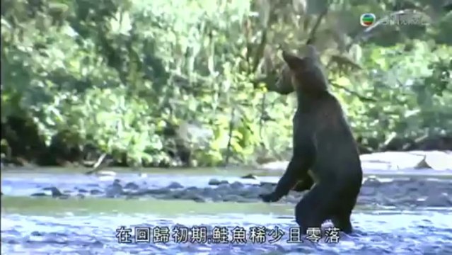 〖自然大事件〗2_Nature's Great Events 2009『The Great Salmon Run』