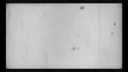 Les accidents sont parfois idiots