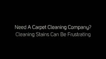 Area Rug Cleaning (786) 329-4896