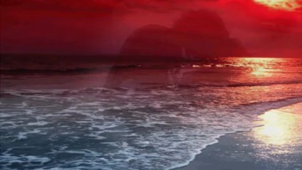 Wo die Sonne im Meer versinkt - Nachtfalken