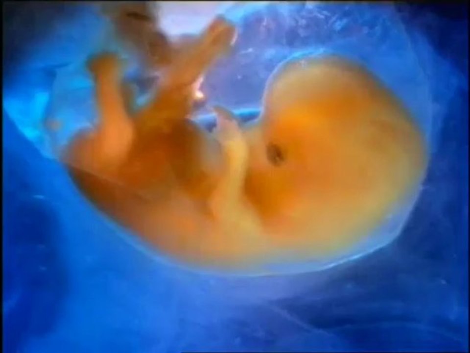 Hazreti Meryem Belgeseli (Harun Yahya)