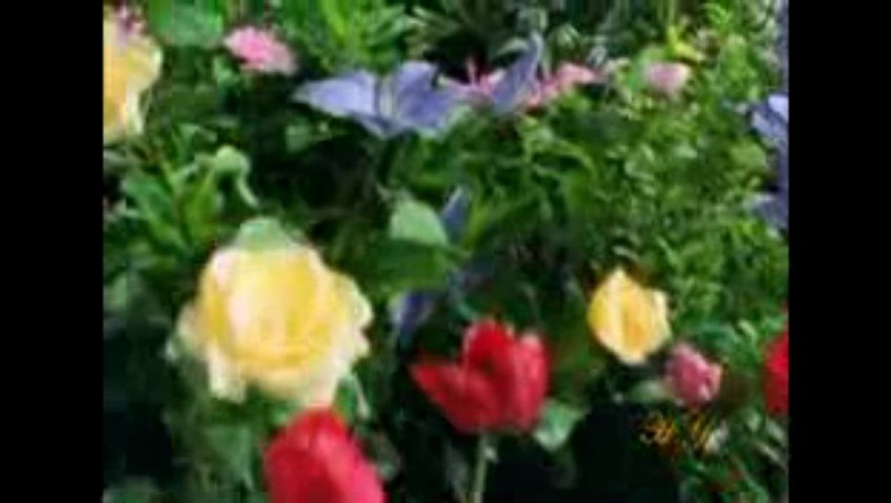 The Superior Characteristics of the Followers of Hazrat Mahdi (as) and Their Similarities to the Ashab Al-Suffa - 2 -