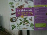 Welcoming Biodiversity in Paris, France