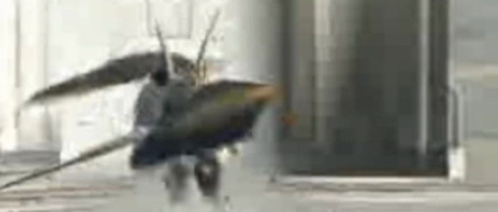 로얄카지노｛▣▣yes6666.NeT▣▣｝로얄카지노