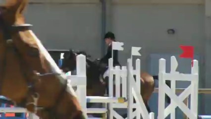 Obélix, Olivet 2013