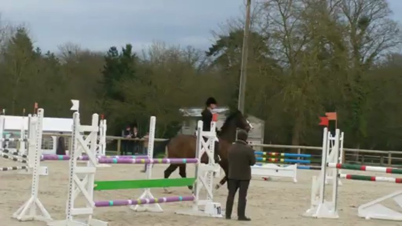 Papoute, Olivet 2013 (1)