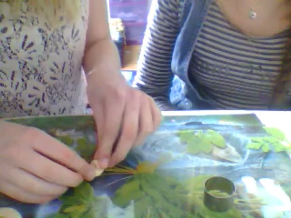 tuto crepe