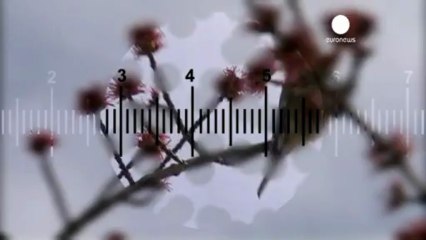 Cómo protegerse del polen primaveral