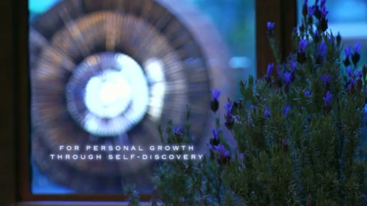 Online Yoga Practice for Everyone