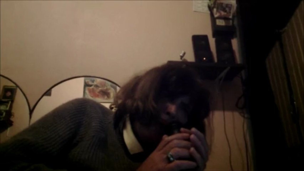 BERNIY CHANTE LAISSE MOI T AIMER DEMIKE BRANT