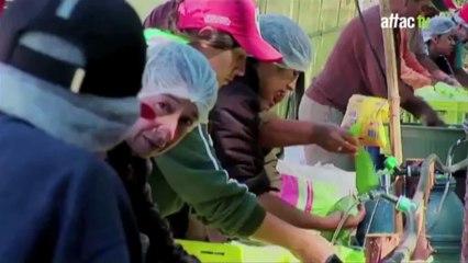 Alimentos bajo sospecha - Gustavo Duch