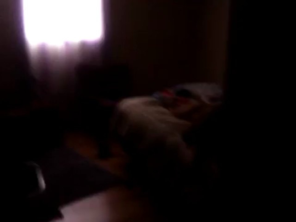 sleeping beauty
