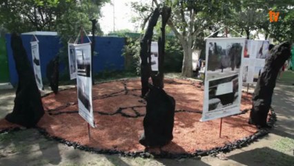 La inconsciencia de los gobiernos / The unconsciousness of governments - Leonardo Boff (Es+EN subt)