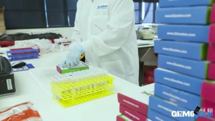 Drop Test: Samsung Galaxy Tab 8.0 - GizmoSlip