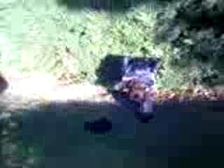 [...Souvenirs, Souvenirs...]