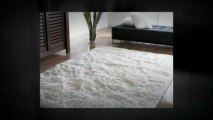 Miami Commercial Carpet Cleaning (786) 329-4896