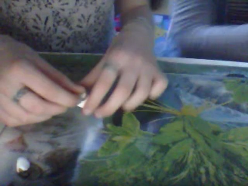 tuto chocolat 2 partie