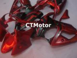 CTMotor 2000 2001 2002 KAWASAKI ZX6R ZX-6R 636 FAIRING 02A