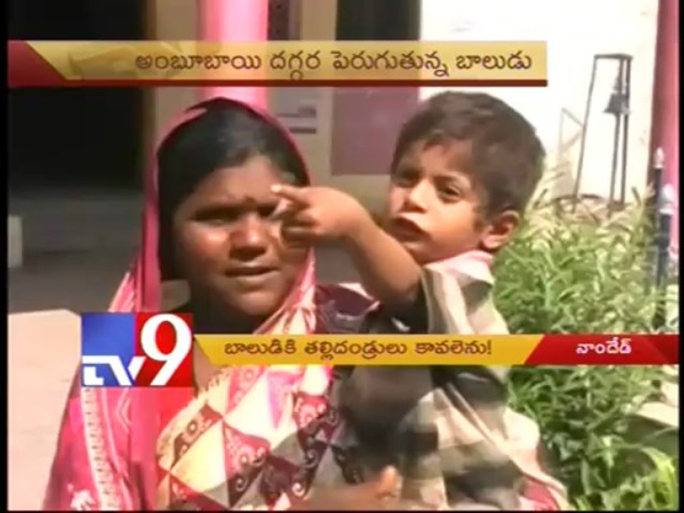 3 year old boy separated from parents seeks help