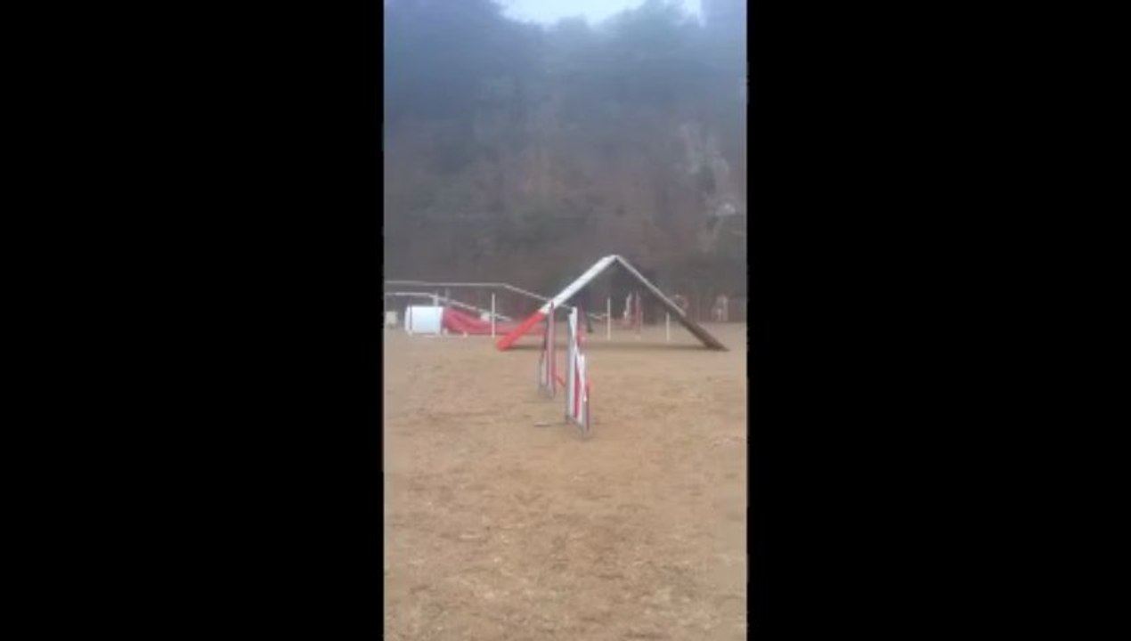 Chanel agility