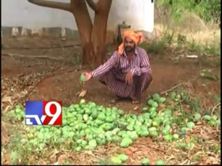 Sudden rain in Kadapa brings joy to residents
