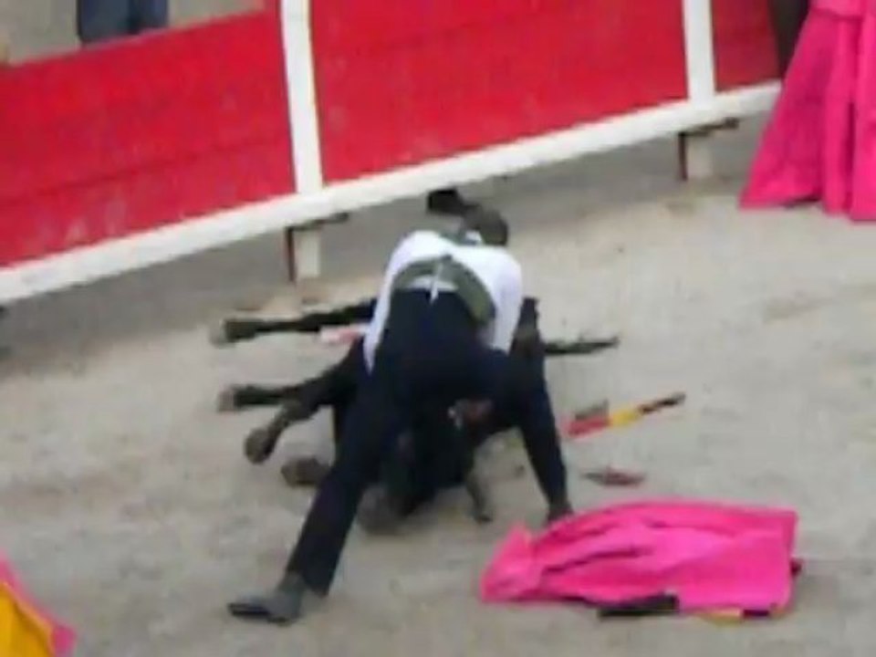 Simon Casas dit que lors d'une corrida le taureau ne souffre pas