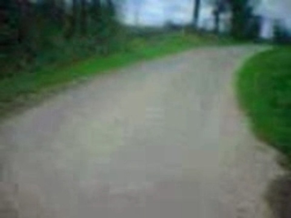 clio williams accélération