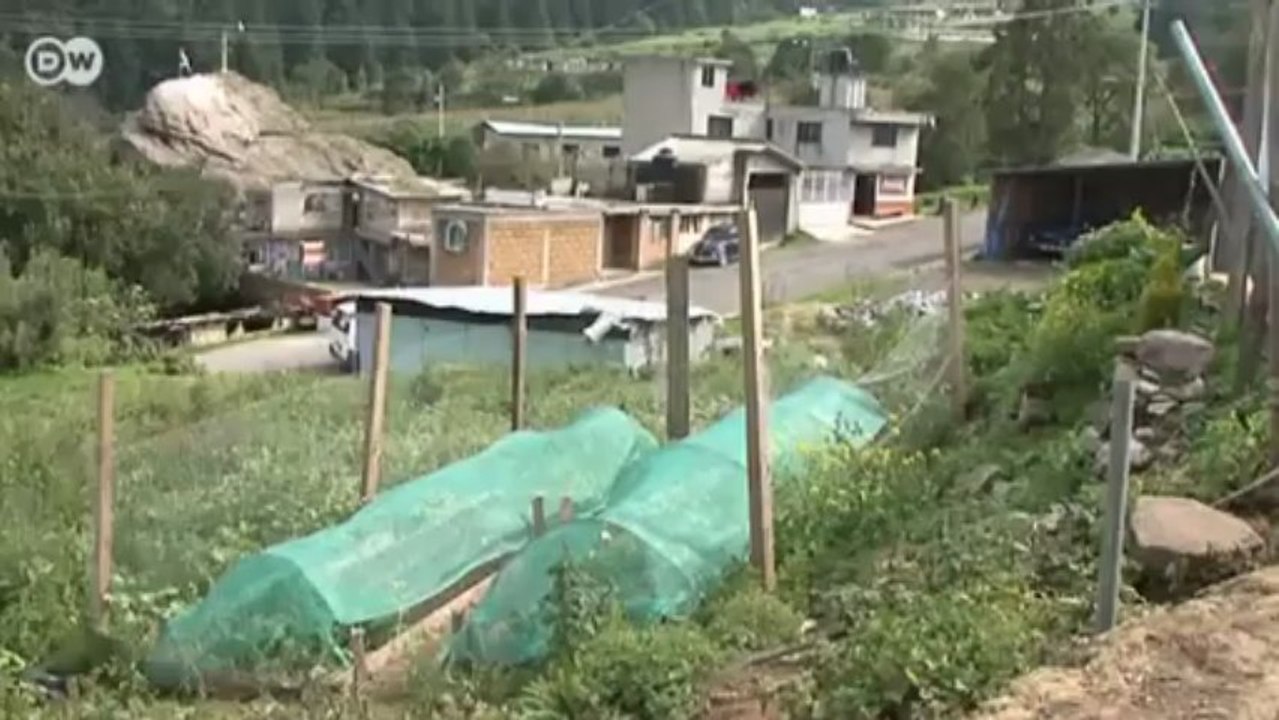 MEXIKO: Lernen um zu Überleben - Margarita Barney zeigt Wege aus der Armut | Global 3000