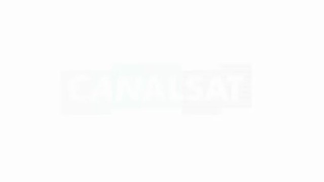 Tal sera aux TRACE Urban Music Awards