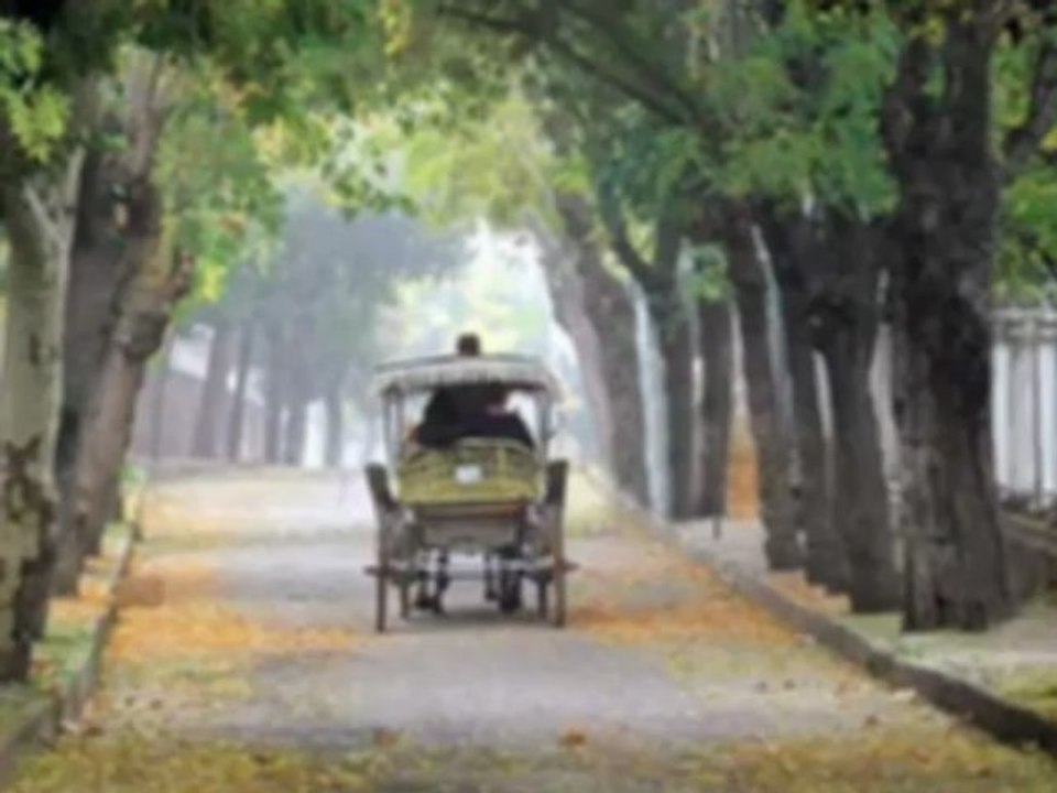 ercan kendıne ıyı bak