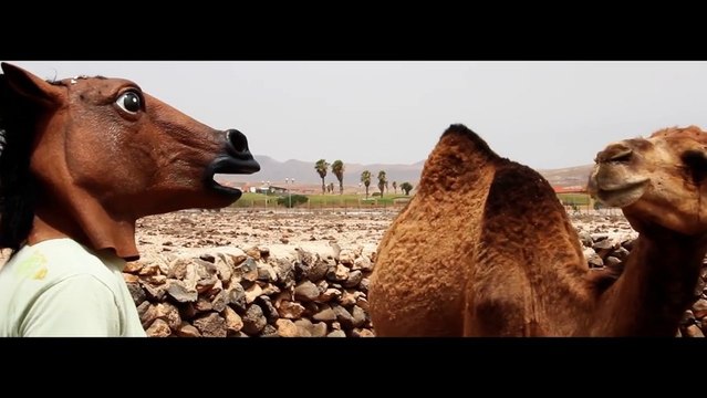 GoPro Defi Wind Movie - Camel Face - windsurf