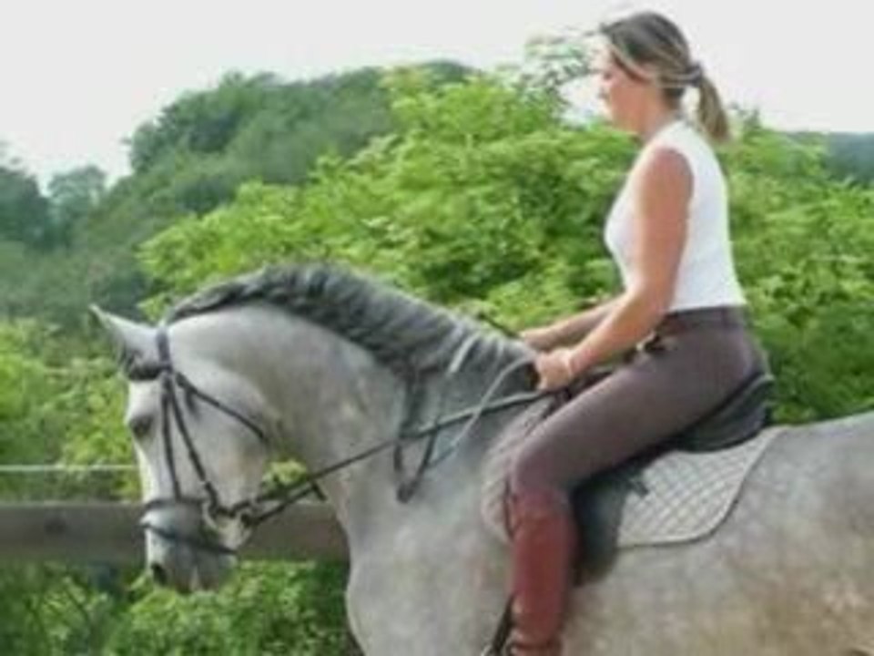 Montage Pur race espagnole